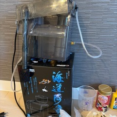 海水魚用品の画像