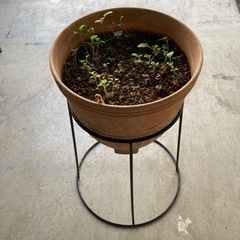 No.1 植木鉢スタンドのみの画像