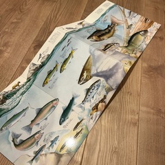 大判図鑑　土の中水の中、地図の画像