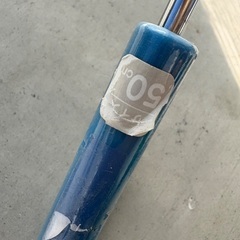 恐竜のカサ　50㎝の画像