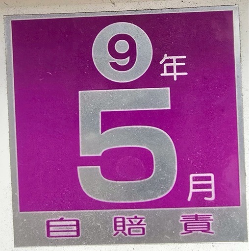 Sunpie フィットバイク