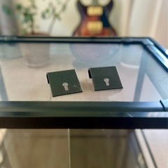 ガラスケージ　爬虫類　引き戸の画像