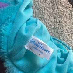 ディズニーファンキャップの画像