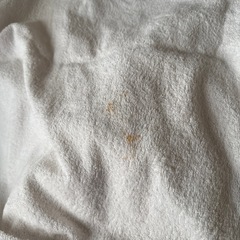 訳ありバスタオルの画像