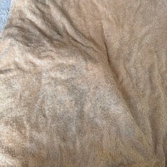 訳ありバスタオルの画像