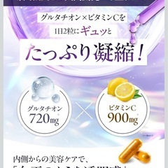 【新品・4袋】ピュアビタグルタチオンサプリ 美容 コラーゲン プラセンタの画像