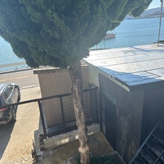 どなたか助けてください