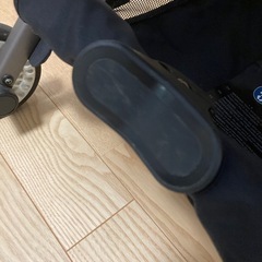 サイベックス　リベル　2024年　アーモンドベージュの画像