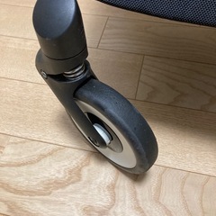 サイベックス　リベル　2024年　アーモンドベージュの画像