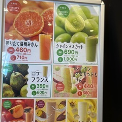 果汁工房果琳 KARIN AOKI 果林 ジュースチケット4枚の画像