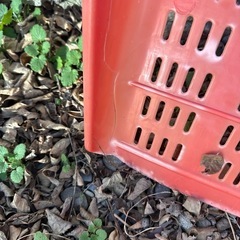 雪かき　除雪　スコップ　2本セットの画像