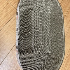 爪研ぎ　ねこ　ねこちゃんの画像