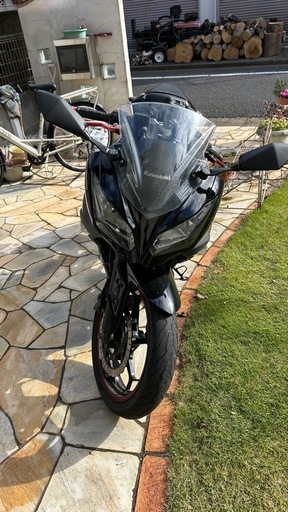 Kawasaki Ninja 250 2017年式(EX250L)