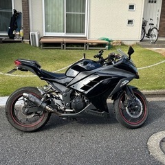 Kawasaki Ninja 250 2017年式(EX250L)の画像