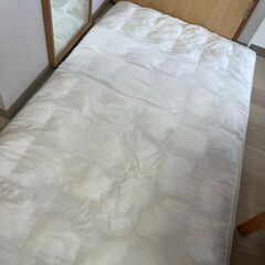 ニトリ　式布団シングル1枚　　かけ布団　1枚の画像