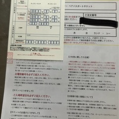 ディズニーペアチケット引換券の画像