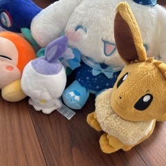 ぬいぐるみ　ポケモン　テラパゴス　イーブイ　シナモンロールの画像