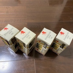 綾波レイのフィギュアの画像