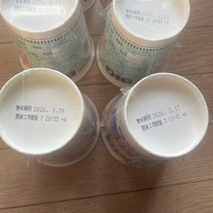 カップヌードルBIG6個2種の画像