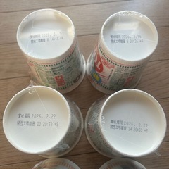 カップヌードルBIG6個2種の画像