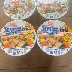 カップヌードルBIG6個2種の画像