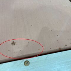 【愛品館 市原店】フランスベッド　引出し収納付シングルベッドの画像