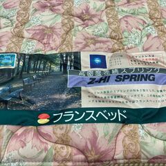 【愛品館 市原店】フランスベッド　引出し収納付シングルベッドの画像