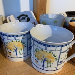 12/7まで店内全品50%OFF！！食器各100円の画像