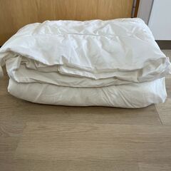 無印良品　シングル　かけ布団　1枚の画像