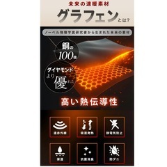 電気式　ゆたんぽの画像