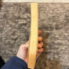 「12月中旬処分予定」リリー・フランキー　美女と野獣の画像