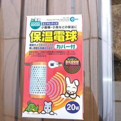 子犬用グッズの画像