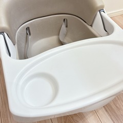 インジェニュイティの画像