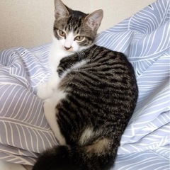 鼻ポチ付きのかわいい姉妹