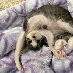 甘えん坊な幸希（しき）ちゃん