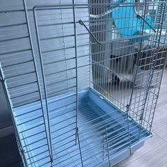 鳥かご　2個まとめて購入希望2個で5000円の画像