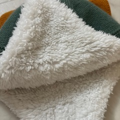 ステゴサウルス  ニット帽子の画像