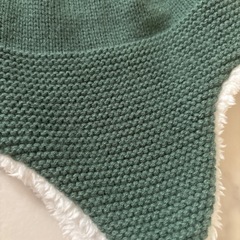 ステゴサウルス  ニット帽子の画像