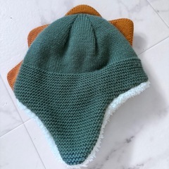 ステゴサウルス  ニット帽子の画像