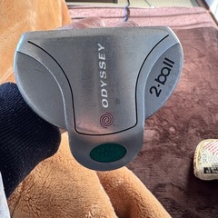 オデッセイパターの画像