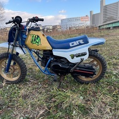 QR50 ミニバイクの画像
