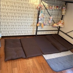 ソファーベッド
の画像