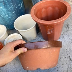 No.1 植木鉢　丸型の画像