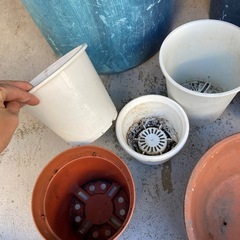 No.1 植木鉢　丸型の画像