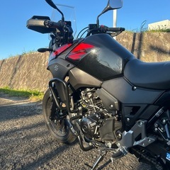 スズキ V-Strom 250の画像