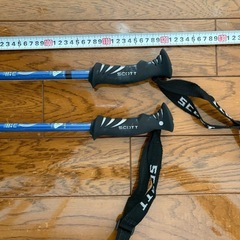 SAROMON スキー用品3点セットの画像