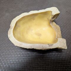 爬虫類シェルター（Ｓサイズ）の画像