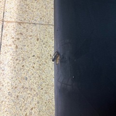 【リユースマン倉敷】ソファベッド レザーブラック の画像