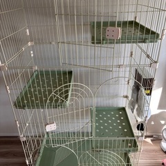 猫ゲージの画像