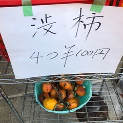 渋柿‼️干し柿用❣️4つ￥100円⭕️
の画像